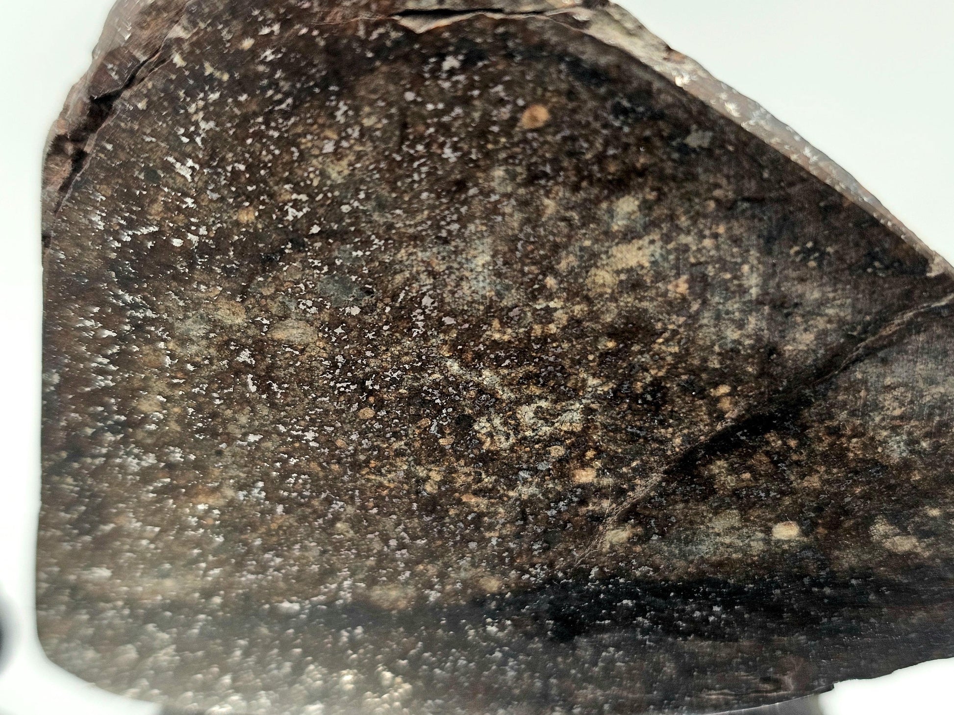 Authentic Chondrite Meteorite from space, cut and polished.