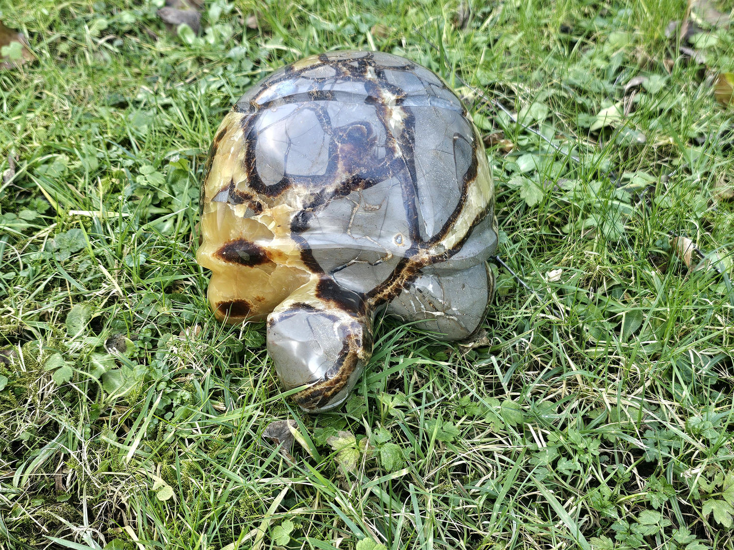 Unique Septarian Crystal Turtle, meticulously carved in Madagascar for interior decor.