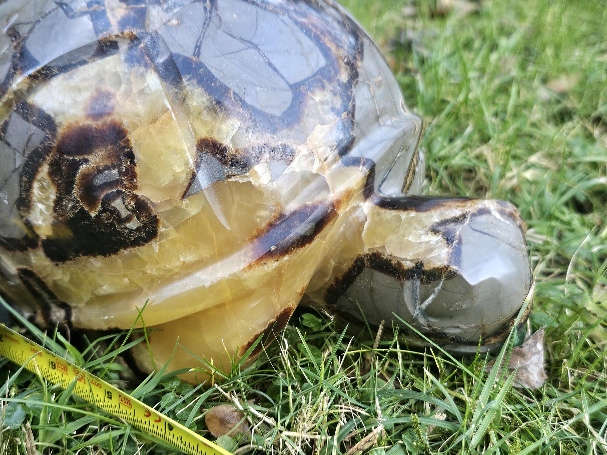 Stunning Septarian Turtle Crystal, hand-polished and carved for interior displays.