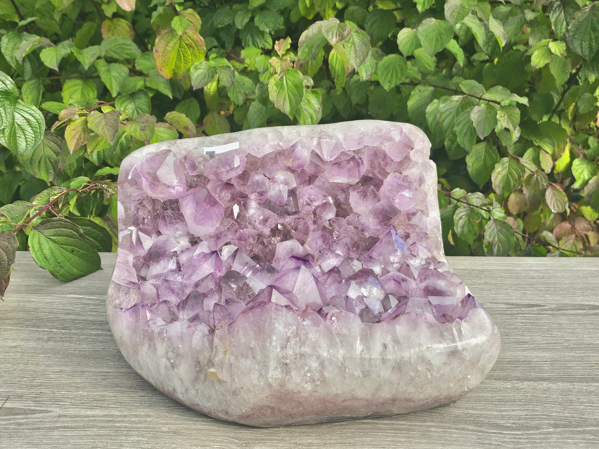 shop large amethyst cluster