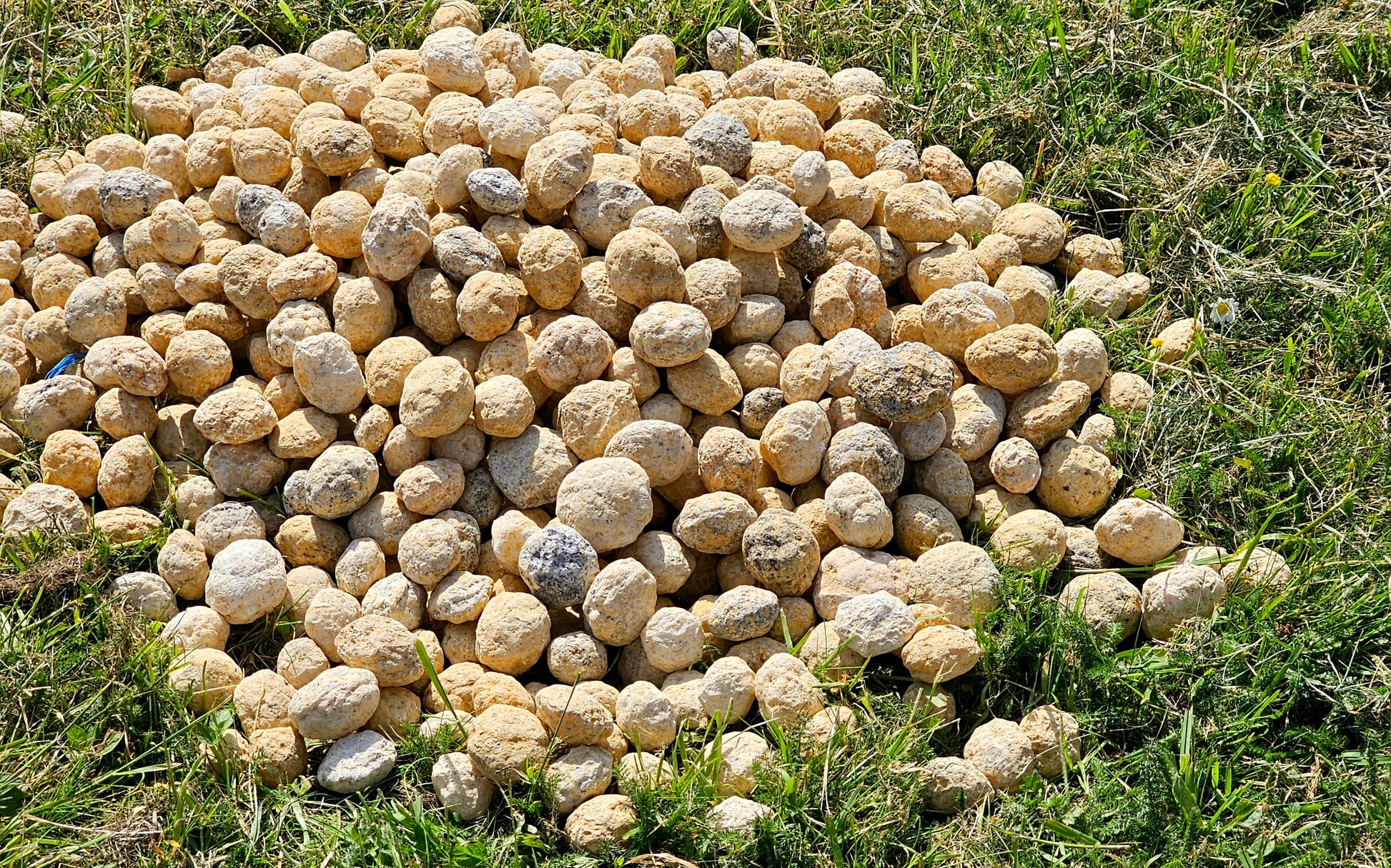 Smash your own natural quartz geodes