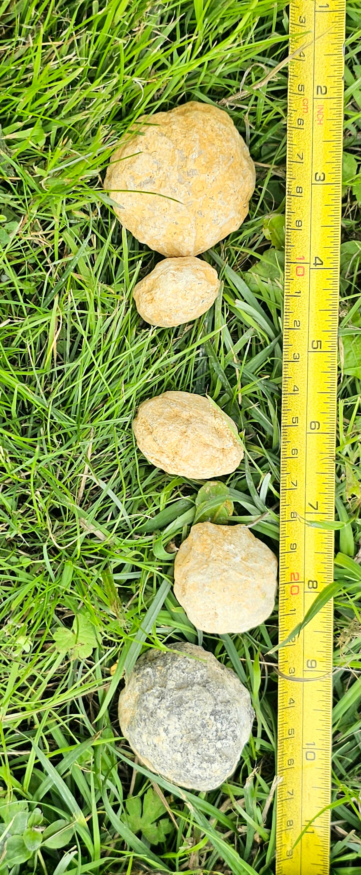 Small Moroccan quartz geodes unbroken