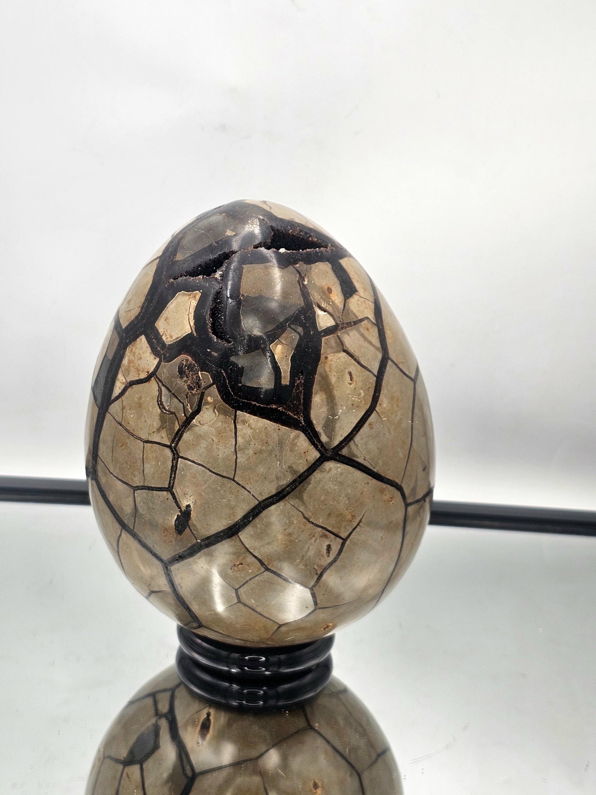 unique large septarian egg natural interior design