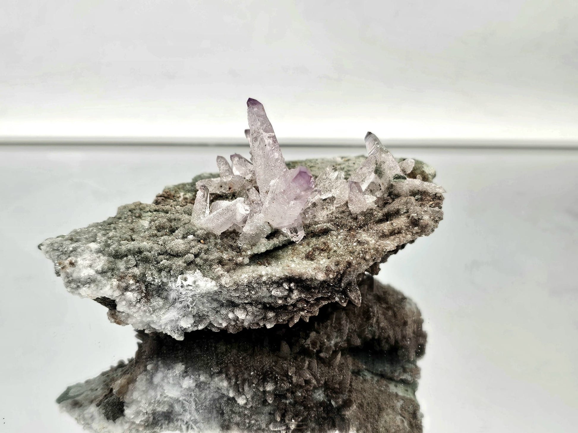 veracruz amethyst flower cluster