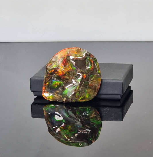 ammolite crystal gemstone from canada