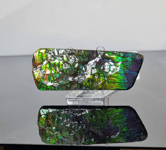 large Canadian Ammolite crystal gemstone