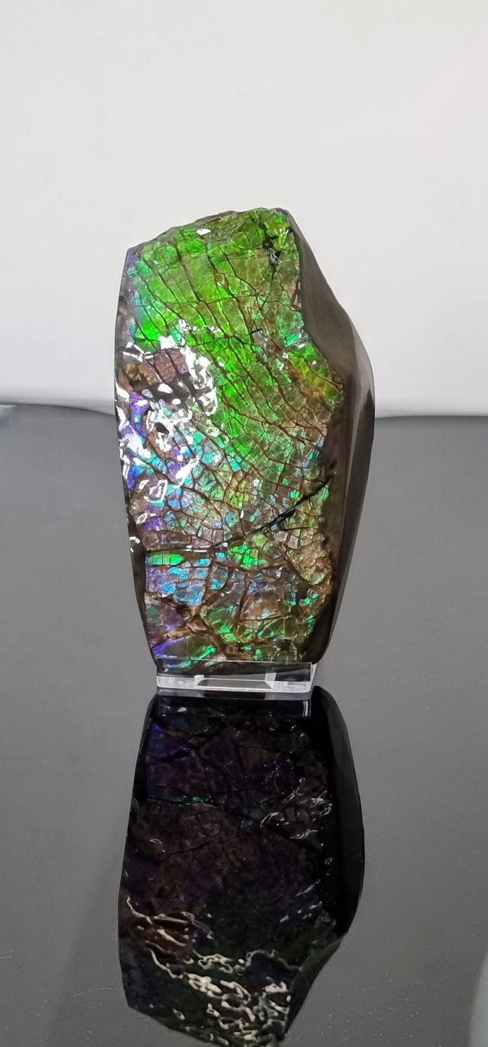 large Canadian Ammolite crystal gemstone