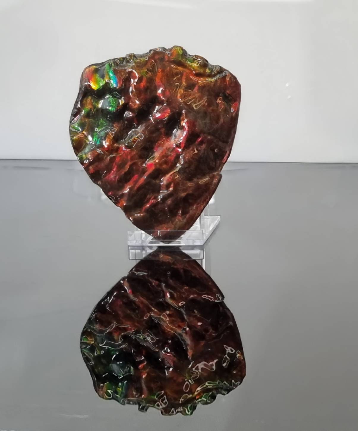 41ap) Canadian Ammolite Crystal Gemstone