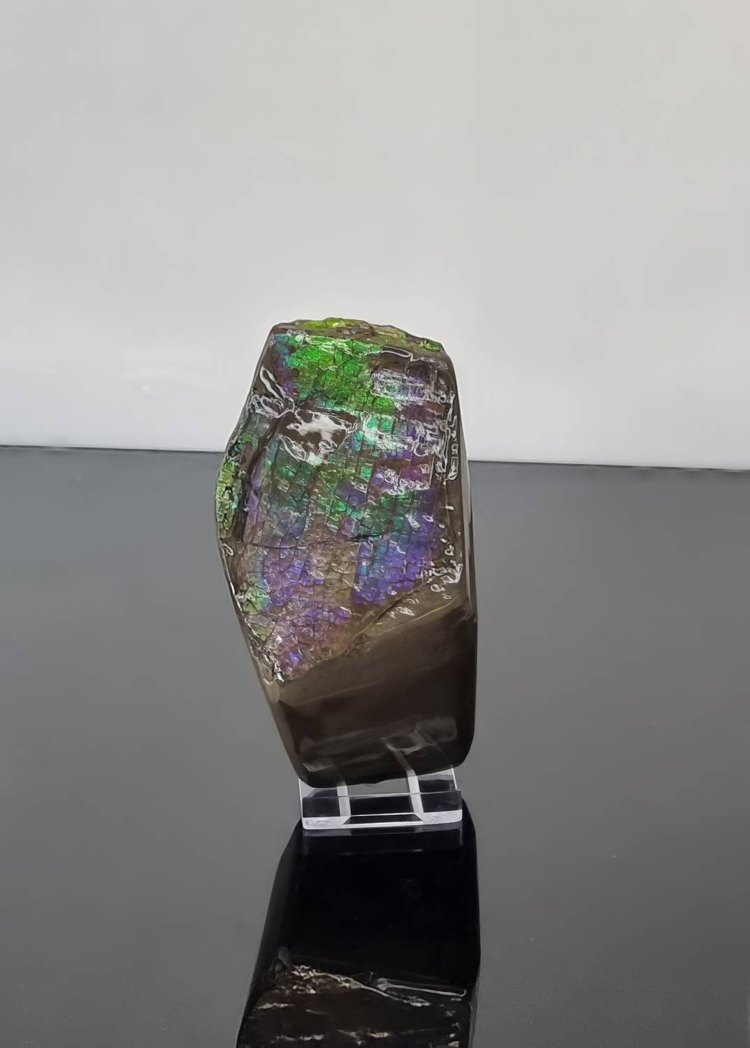 40ap) Large Ammolite Crystal Gemstone