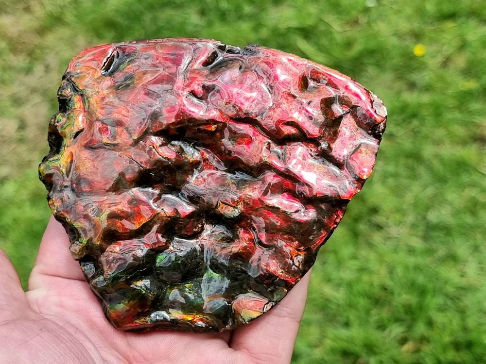 41ap) Canadian Ammolite Crystal Gemstone