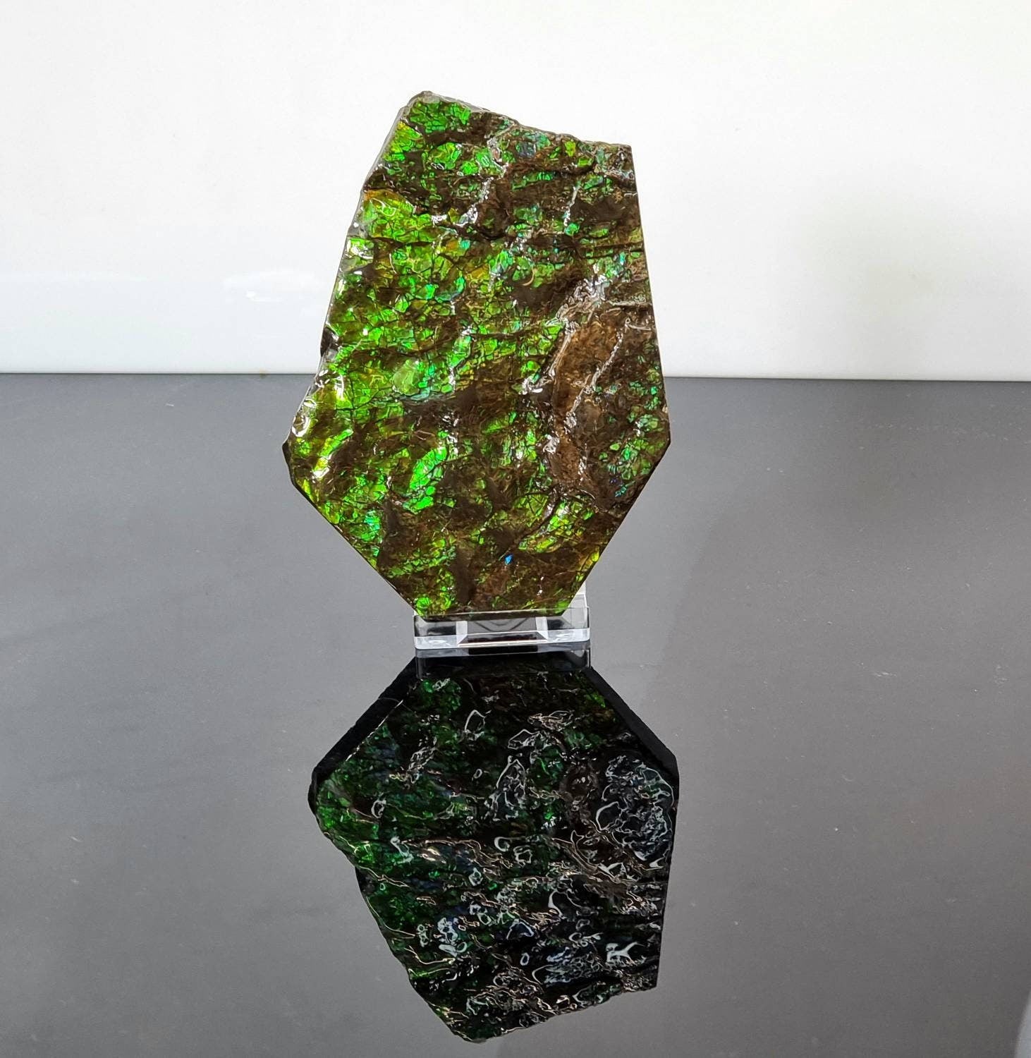 Canadian Ammolite crystal gemstone