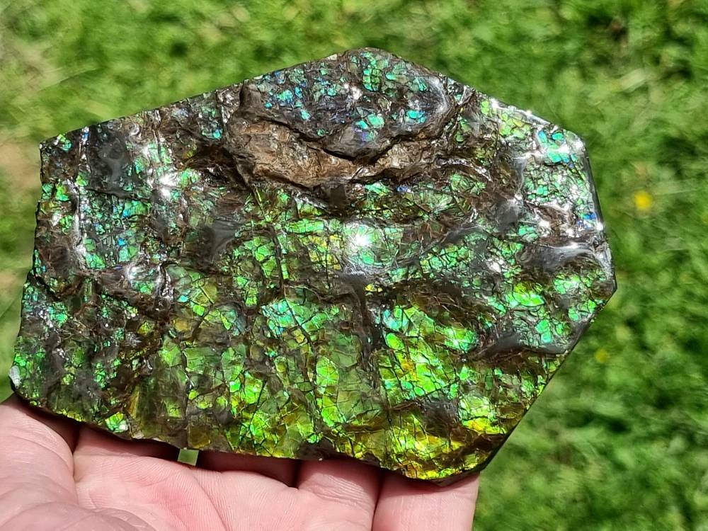 39ap) Ammolite Crystal Gemstone