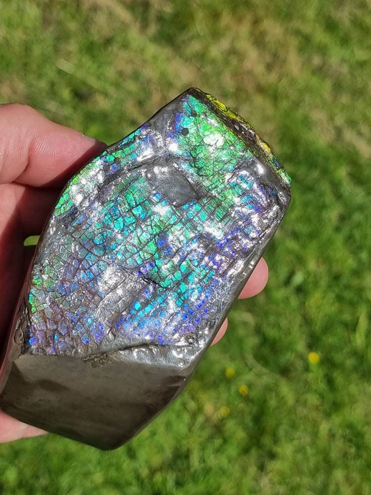 40ap) Large Ammolite Crystal Gemstone