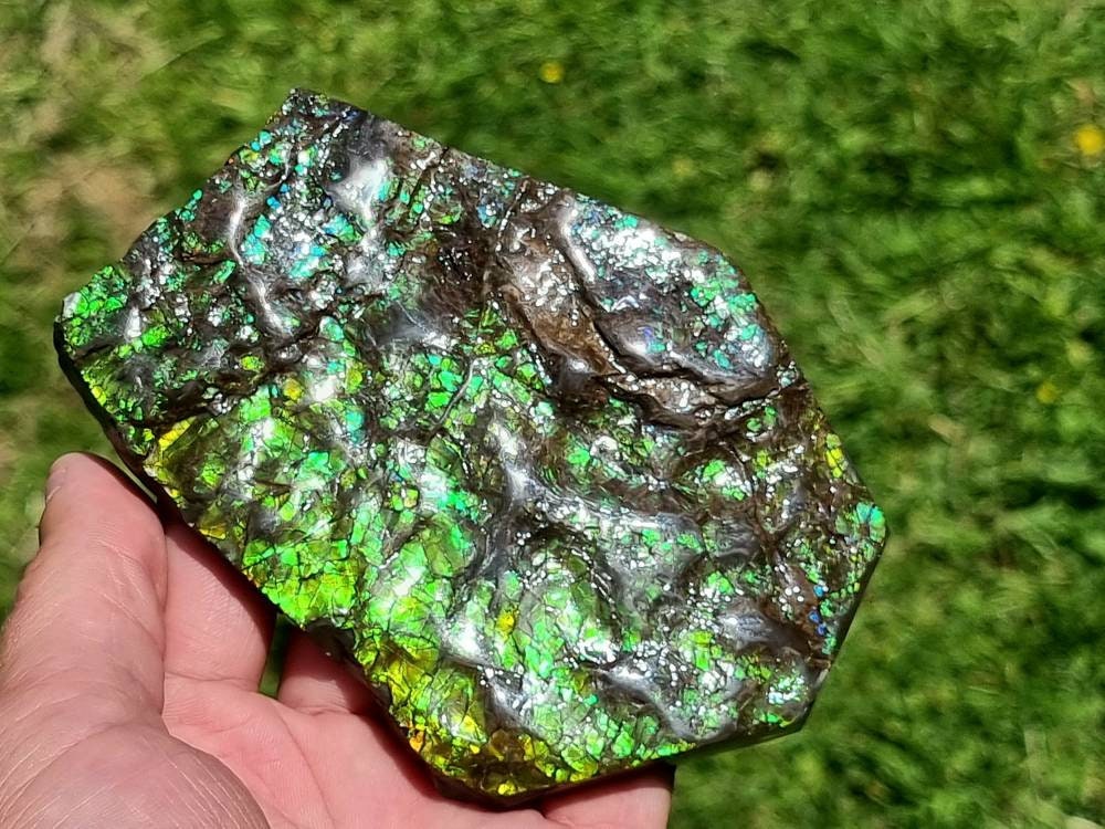 39ap) Ammolite Crystal Gemstone