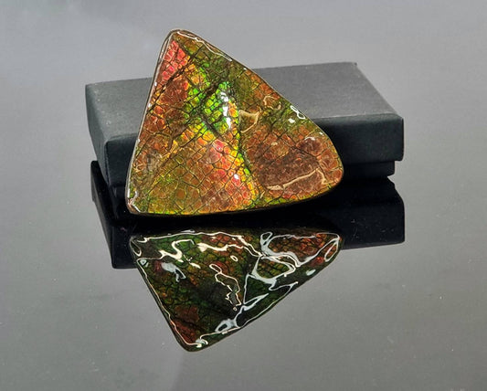 Canadian Ammolite crystal gemstone