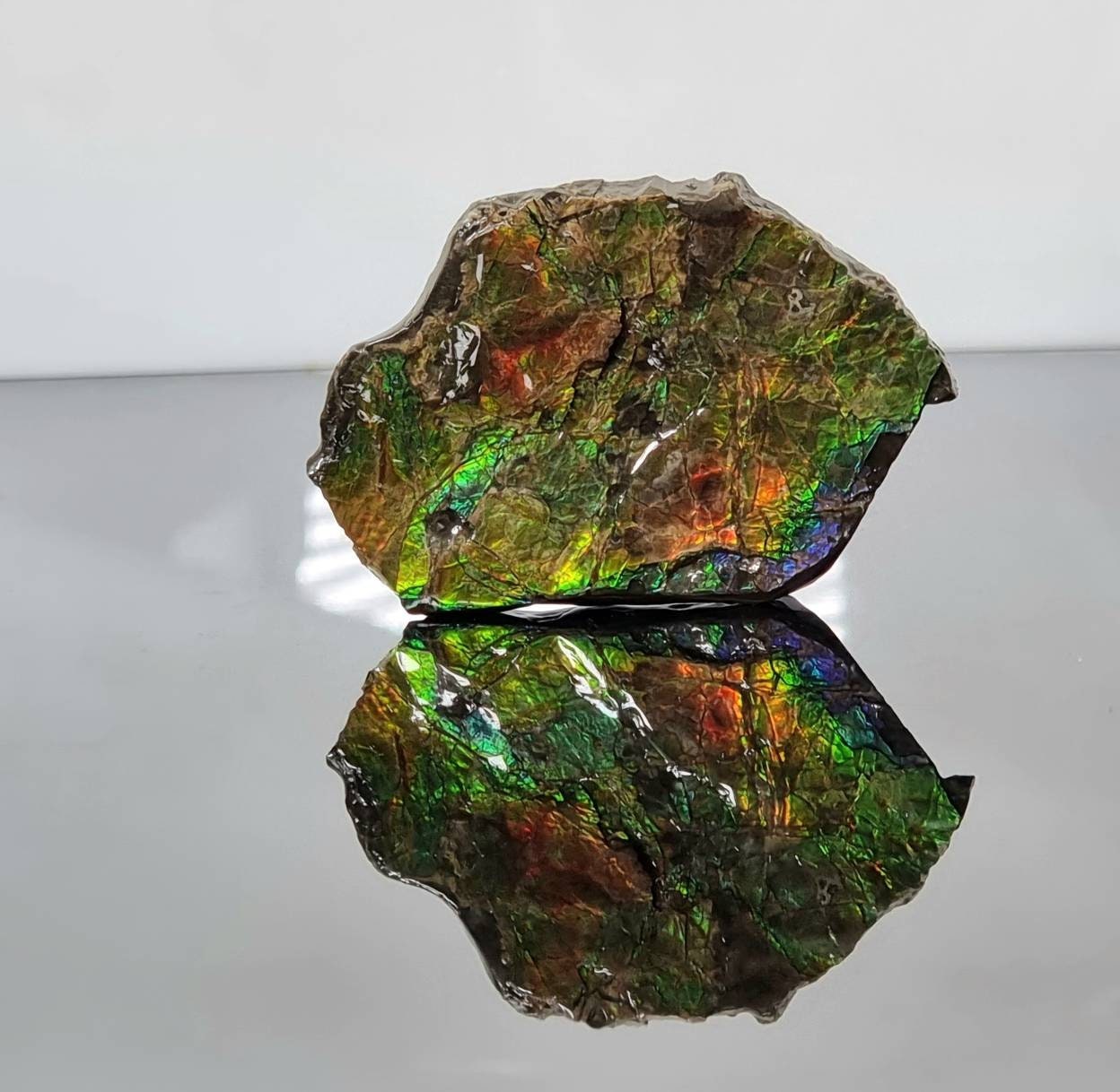 Canadian Ammolite crystal gemstone