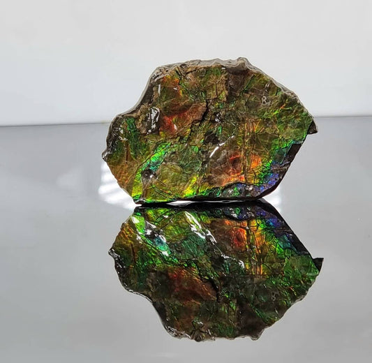 Canadian Ammolite crystal gemstone