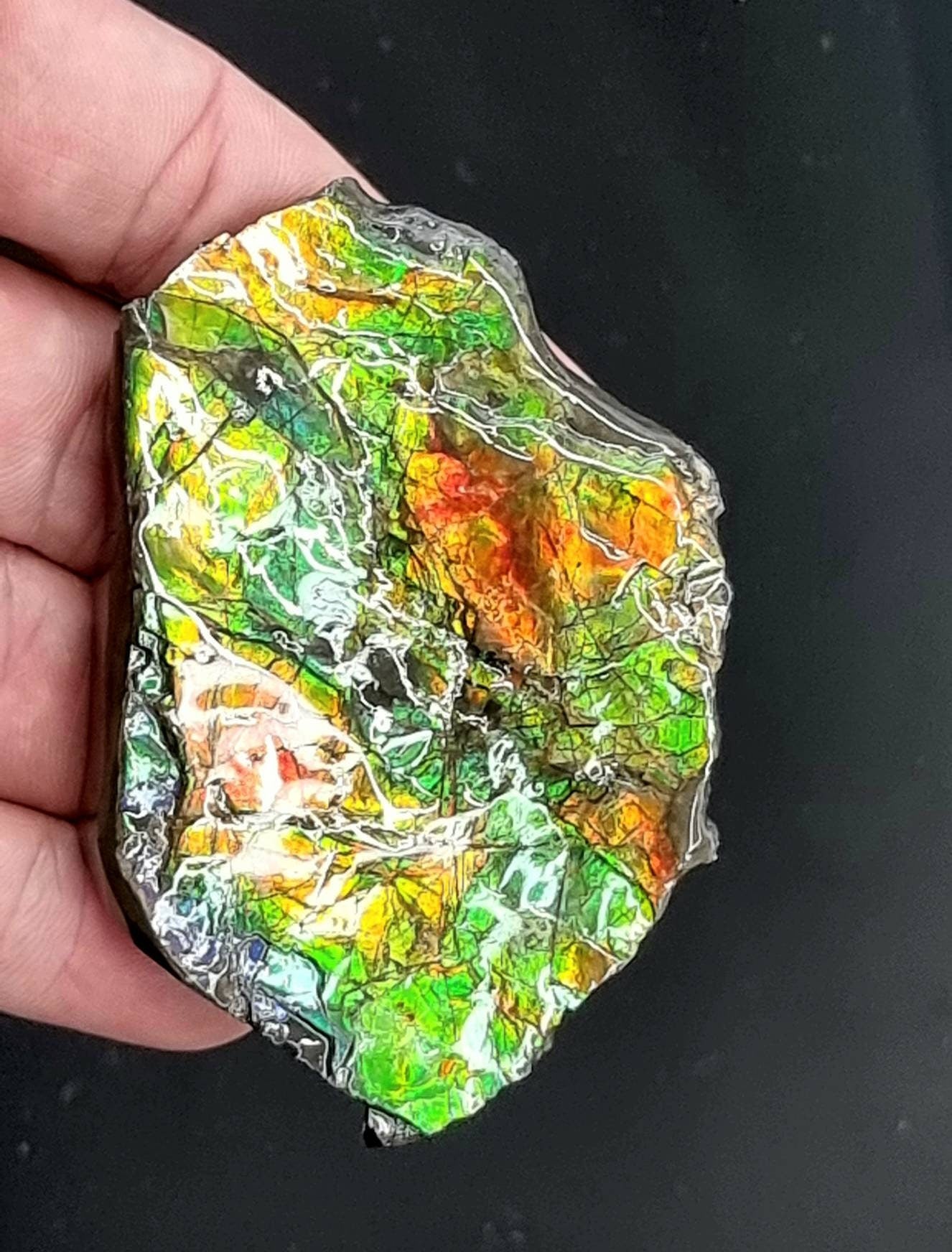 36ap) Ammolite Crystal Gemstone