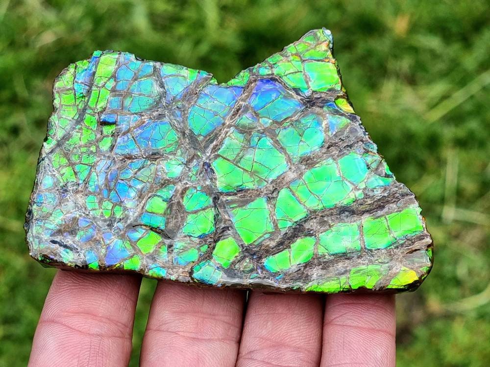 33ap) Ammolite Crystal Gemstone Blue Green