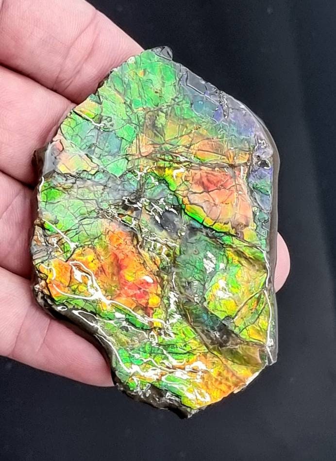 36ap) Ammolite Crystal Gemstone