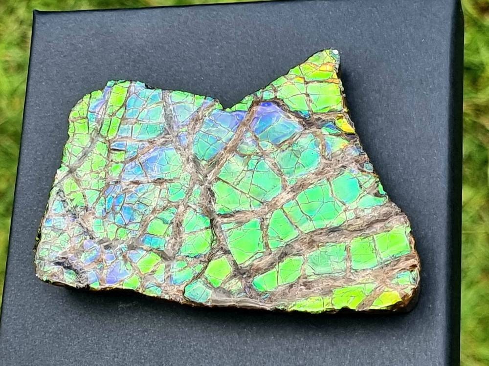 33ap) Ammolite Crystal Gemstone Blue Green