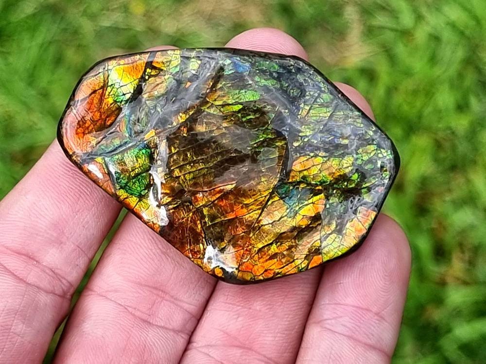 35ap) Ammolite Crystal Gemstone