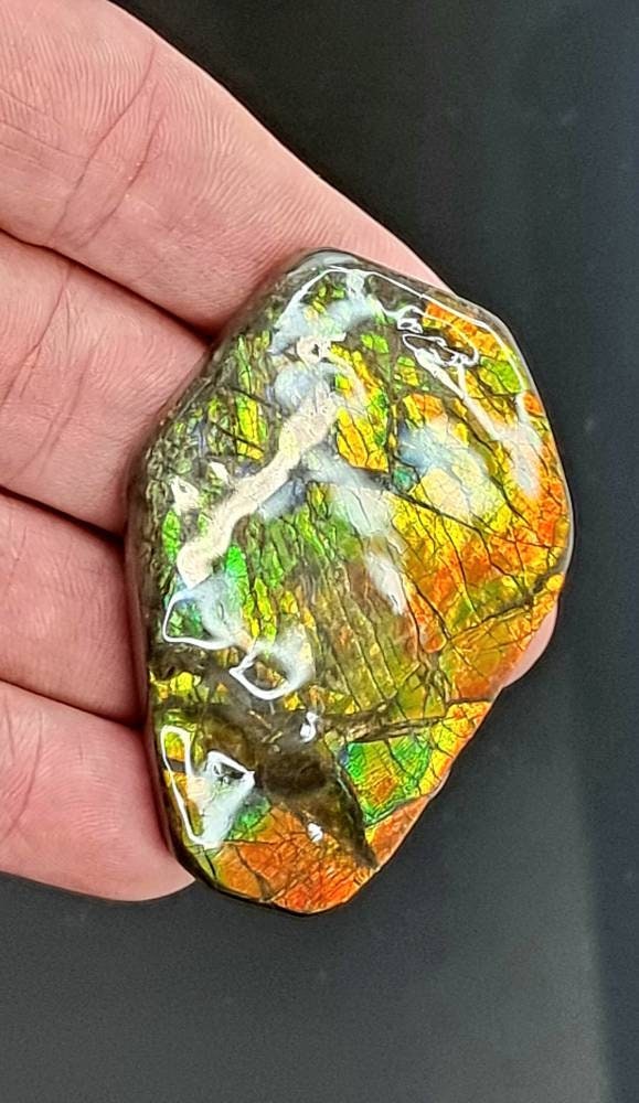 35ap) Ammolite Crystal Gemstone