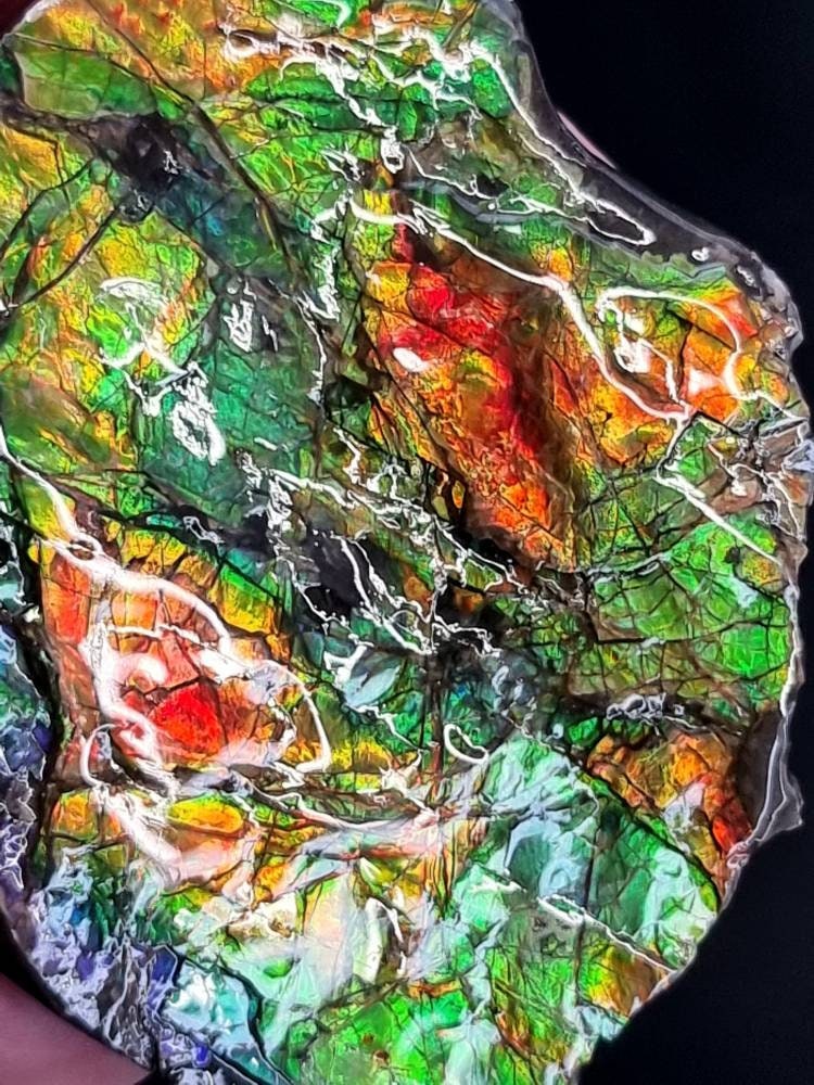 36ap) Ammolite Crystal Gemstone