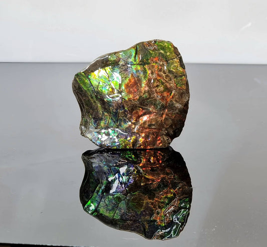 Canadian Ammolite crystal gemstone