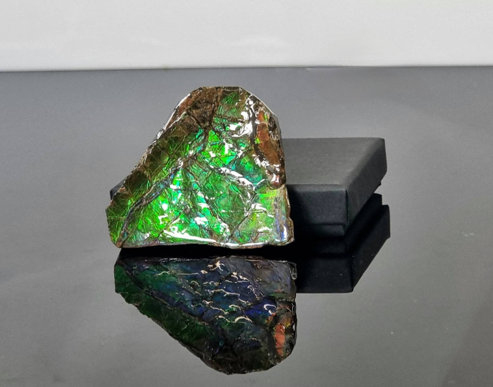 Canadian Ammolite crystal gemstone green