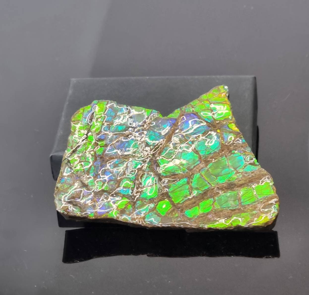 33ap) Ammolite Crystal Gemstone Blue Green