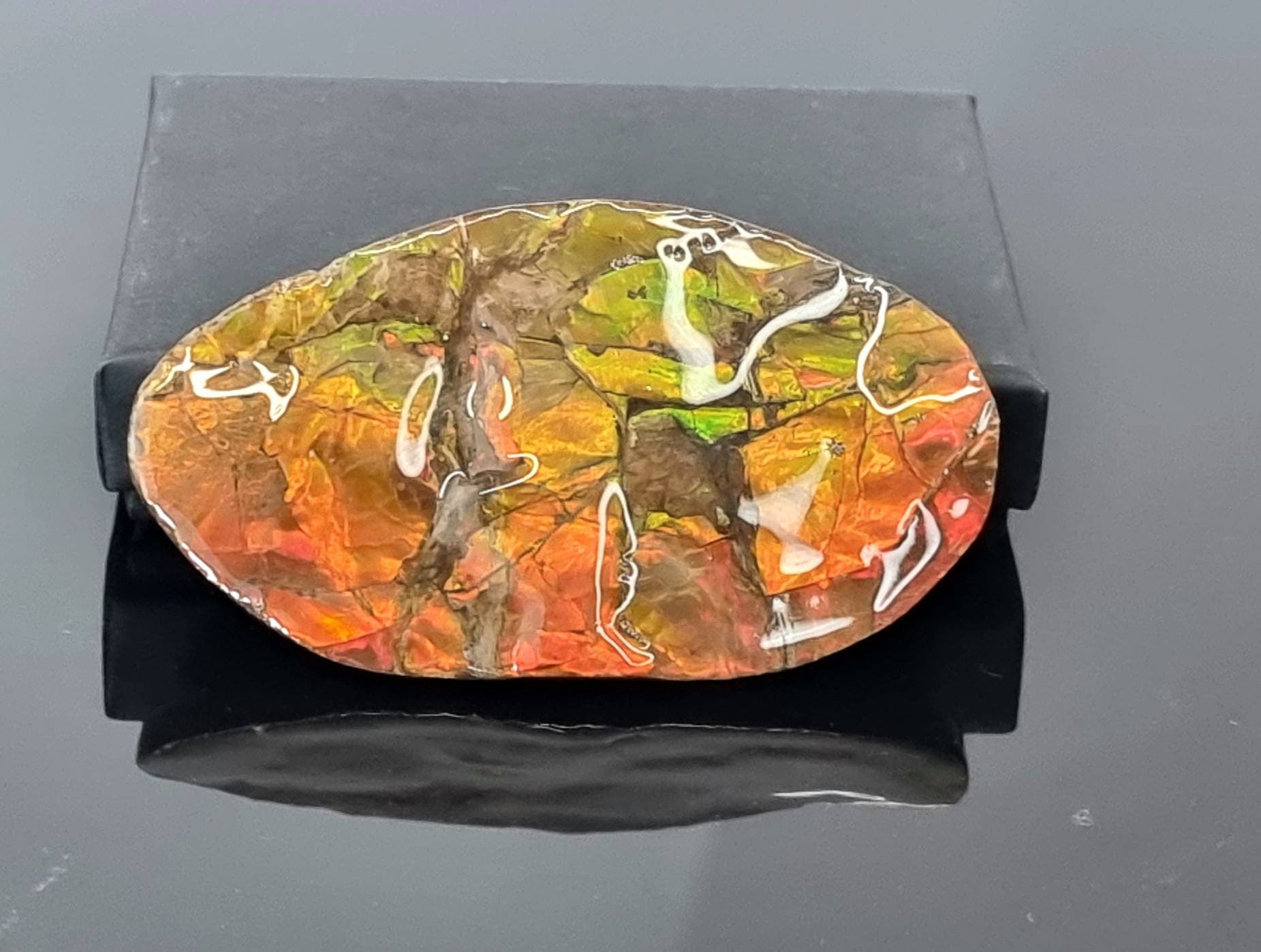 Canadian Ammolite crystal gemstone