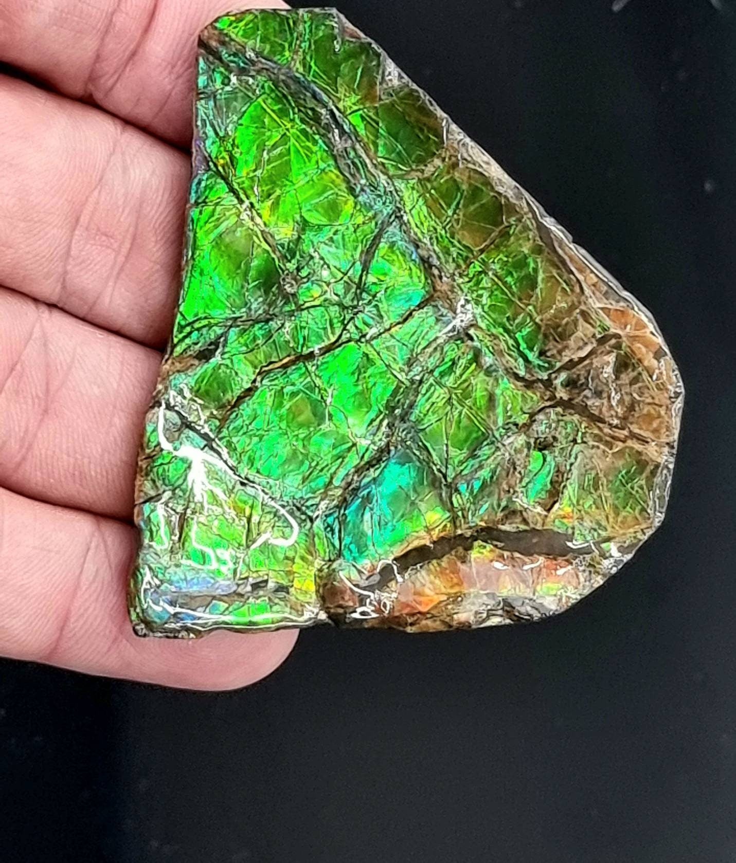 32ap) Ammolite Crystal Gemstone Green