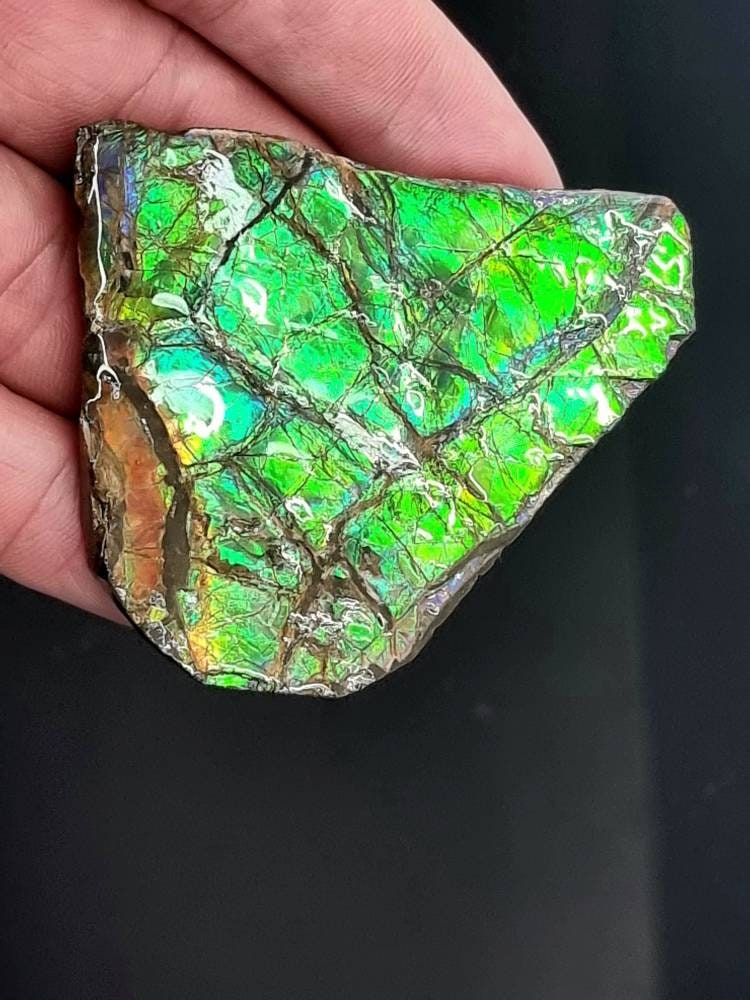 32ap) Ammolite Crystal Gemstone Green