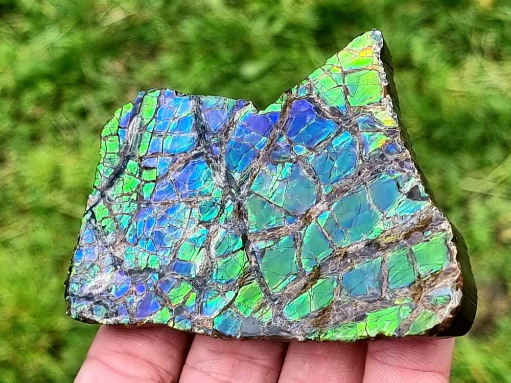 33ap) Ammolite Crystal Gemstone Blue Green