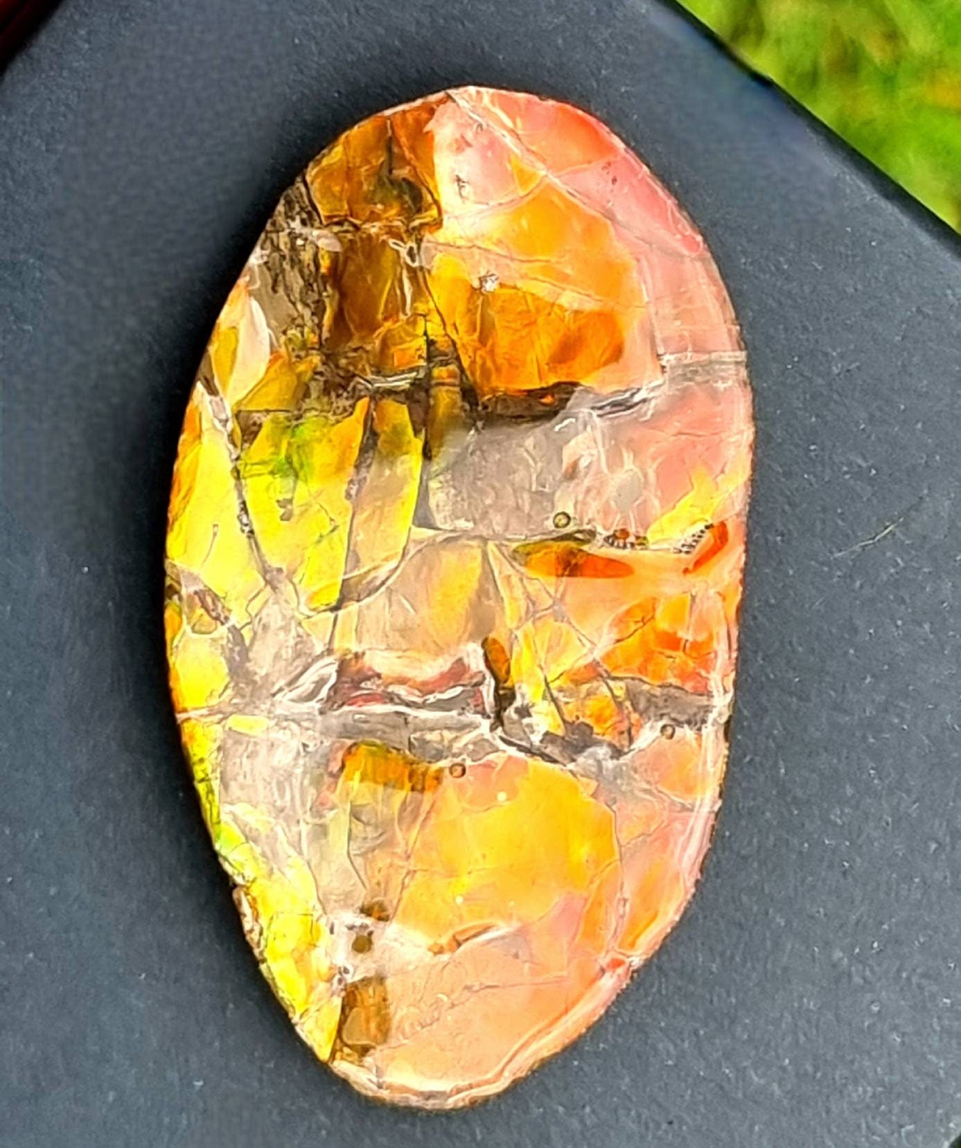 31ap) Ammolite Crystal Gemstone