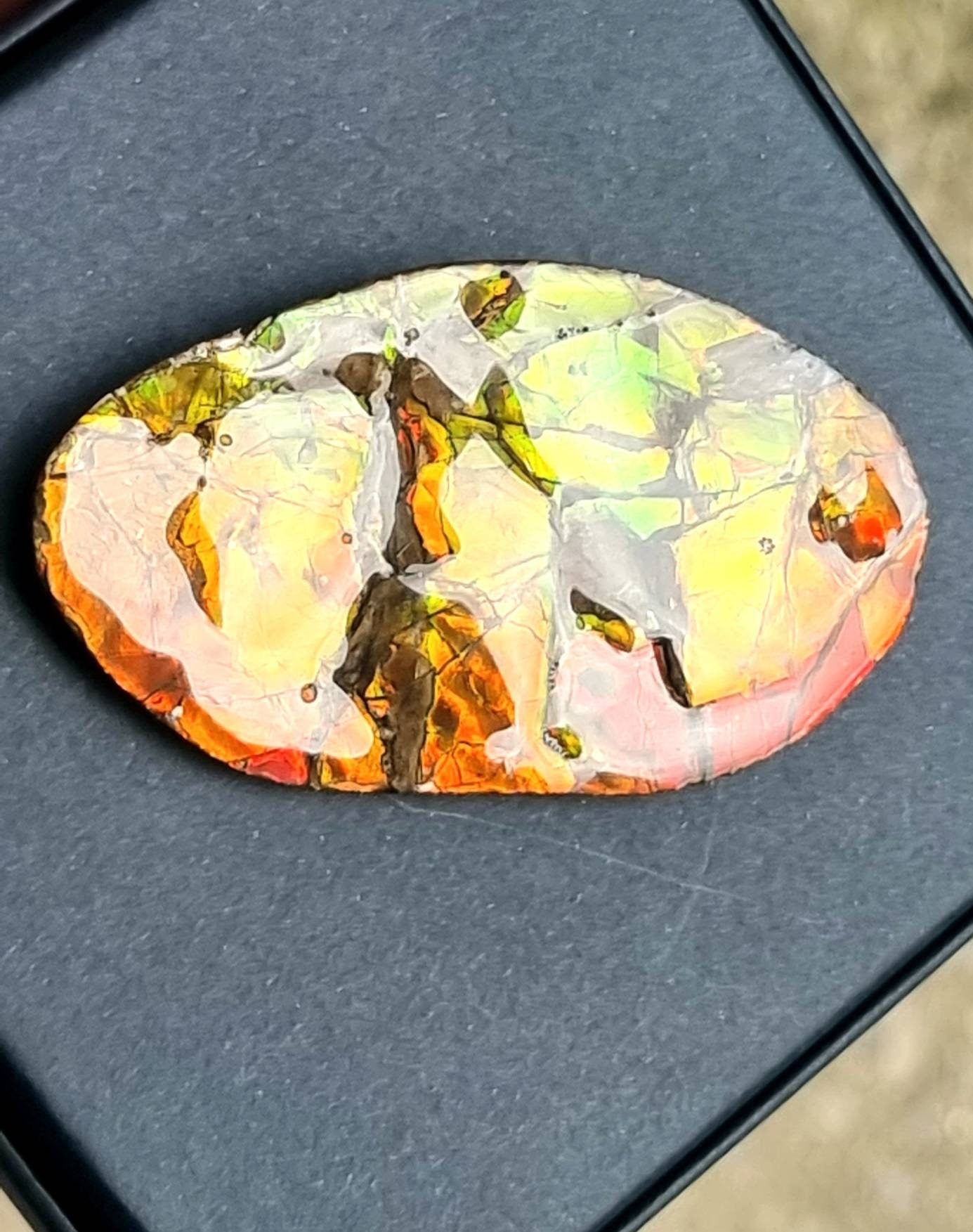 31ap) Ammolite Crystal Gemstone