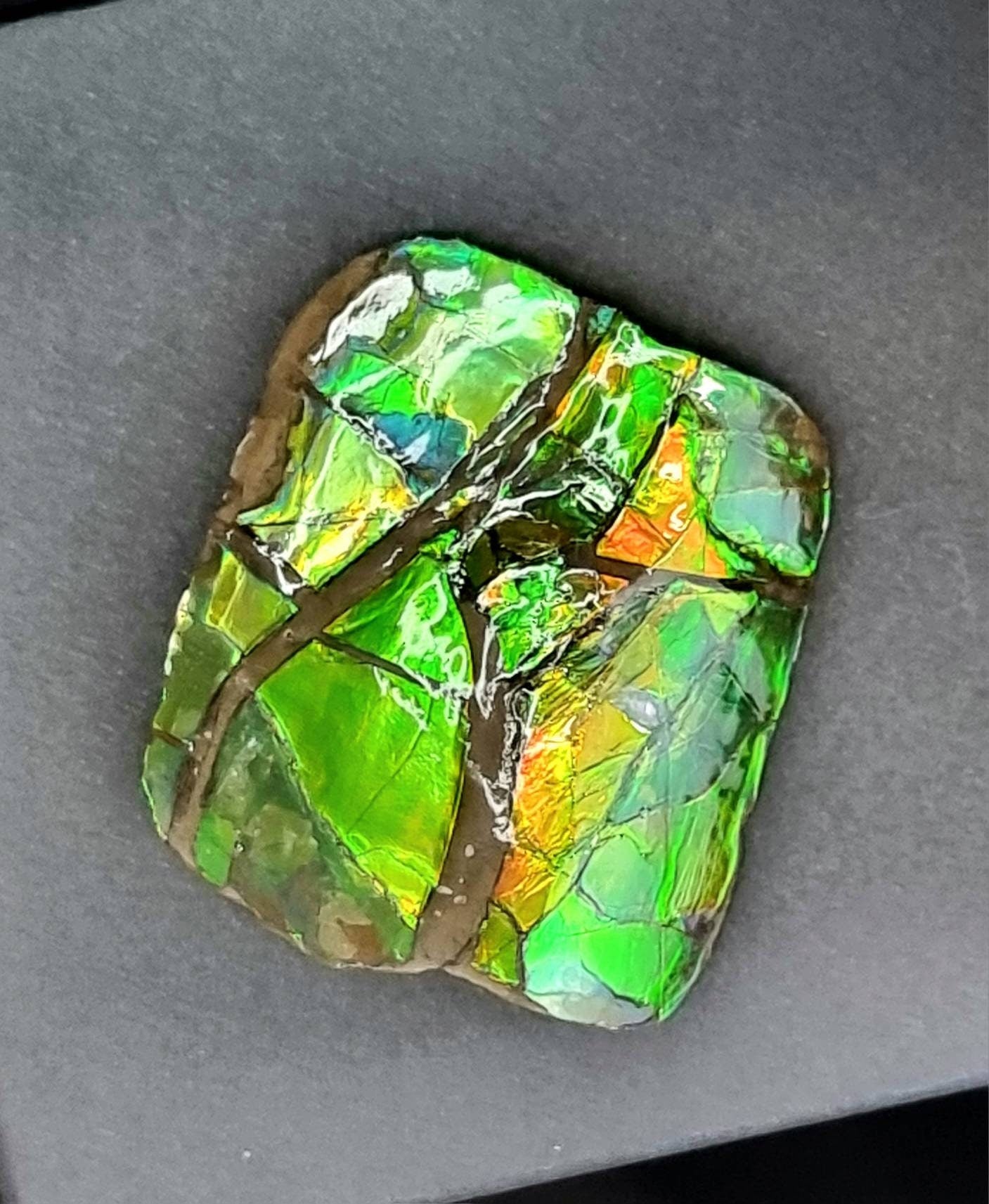 Canadian Ammolite crystal gemstone green