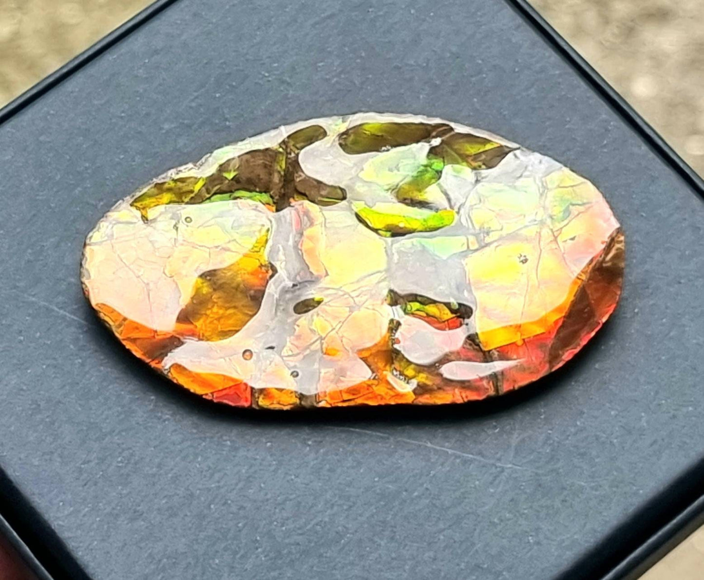 31ap) Ammolite Crystal Gemstone