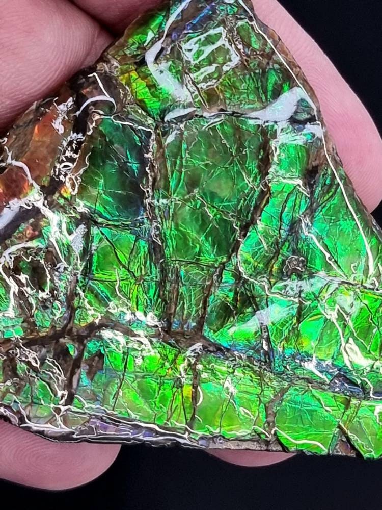 32ap) Ammolite Crystal Gemstone Green