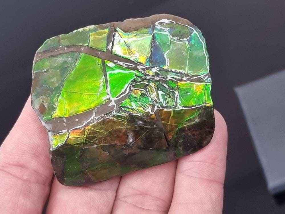 29ap) Ammolite Crystal Gemstone