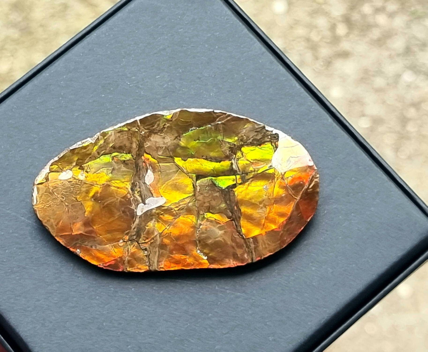 31ap) Ammolite Crystal Gemstone