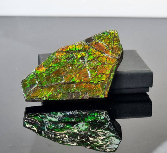 Canadian Ammolite crystal gemstone green