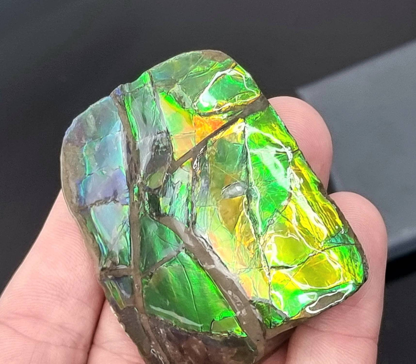 29ap) Ammolite Crystal Gemstone