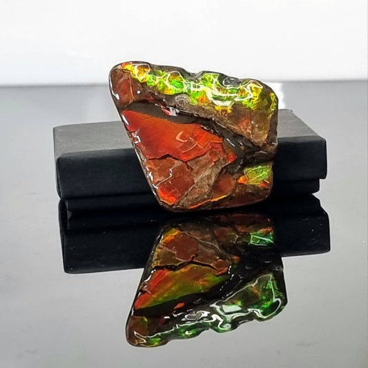 red Canadian Ammolite crystal gemstone