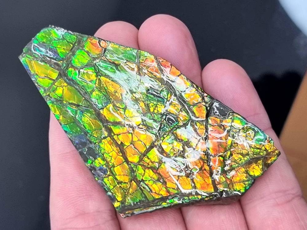 28ap) Ammolite Crystal Gemstone