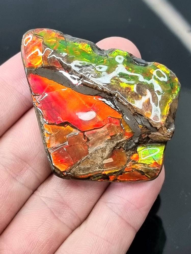 27ap) Ammolite Crystal Gemstone