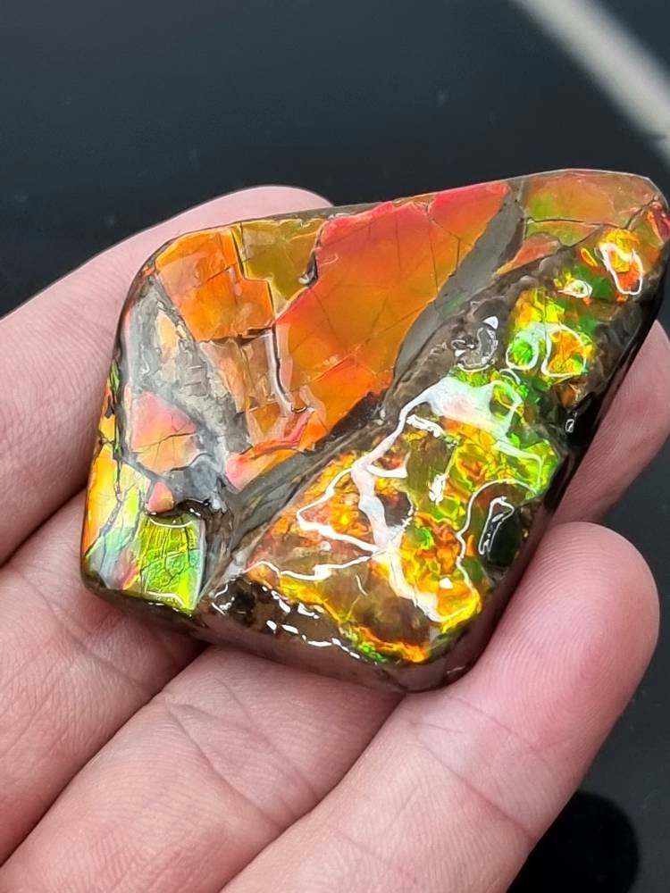 Ammolite stones hot sale for sale