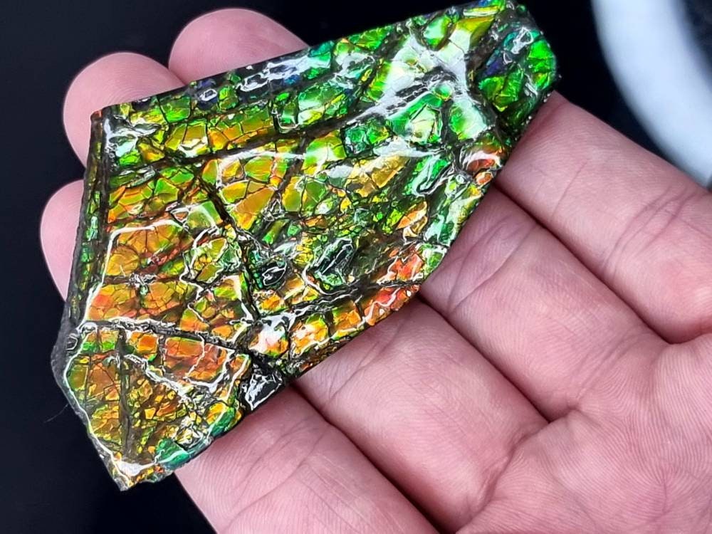 28ap) Ammolite Crystal Gemstone