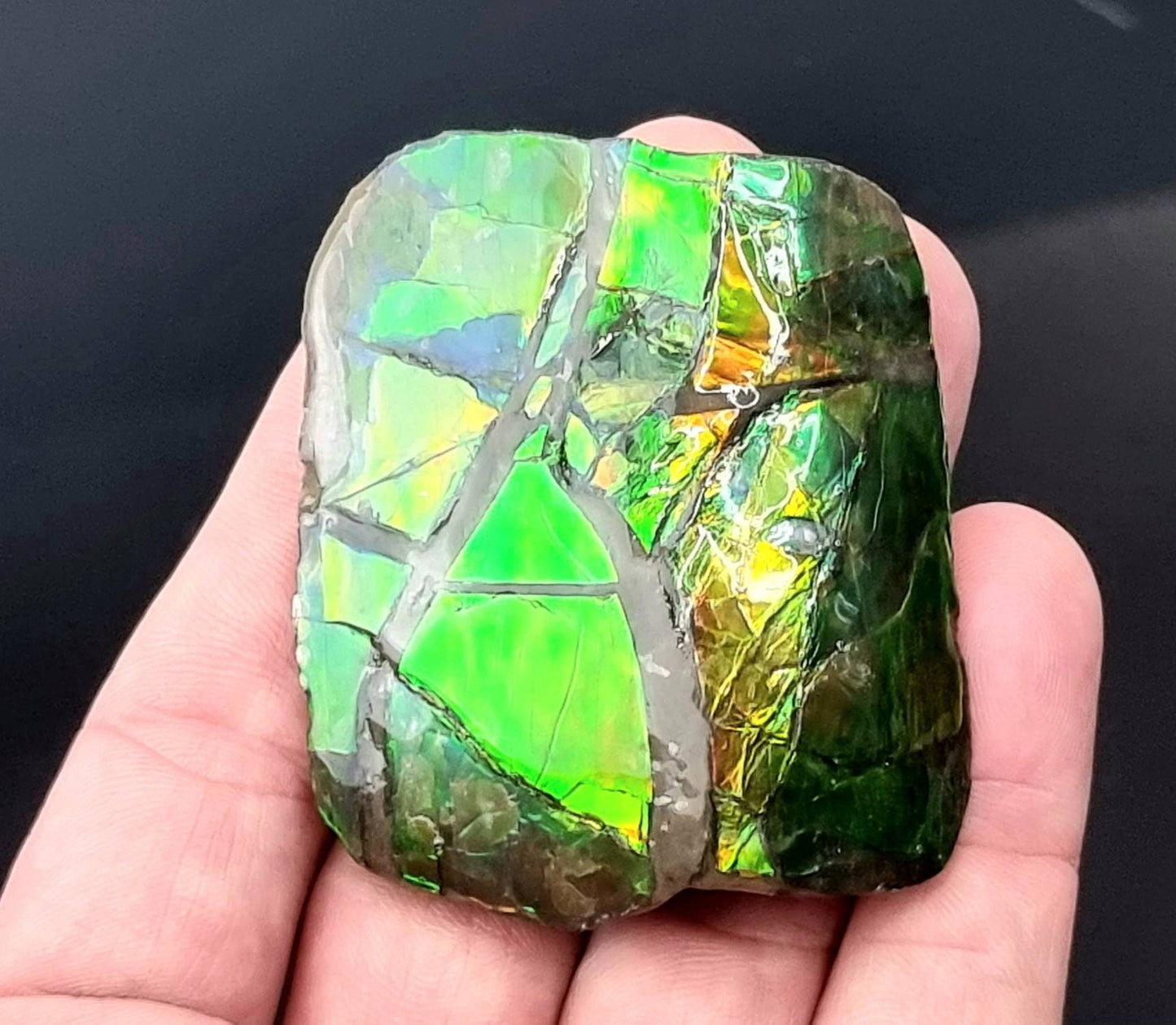 29ap) Ammolite Crystal Gemstone